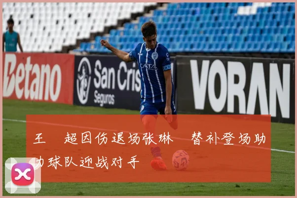 王燊超因伤退场张琳芃替补登场助力球队迎战对手